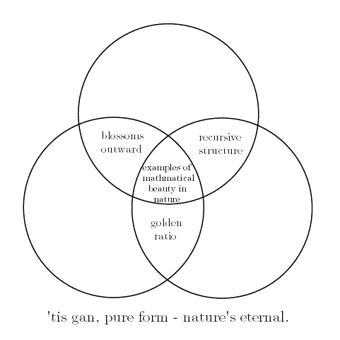 A Venn void, as described above.
							The outer intersections are, clockwise:
							"recursive structure";
							"golden ratio";
							"blossoms outward".
							The central intersection reads:
							"examples of mathematical beauty in nature".
							Below the diagram is its anagrammatic key:
							"'tis gan, pure form - nature's eternal."